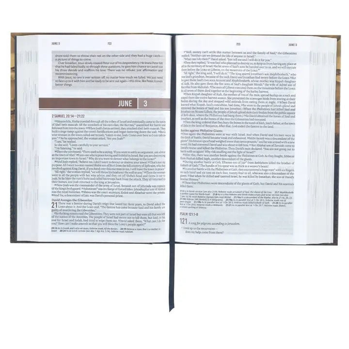 Men's Devotional Bible Hardcover - Ballyhoo Boutique and Gift