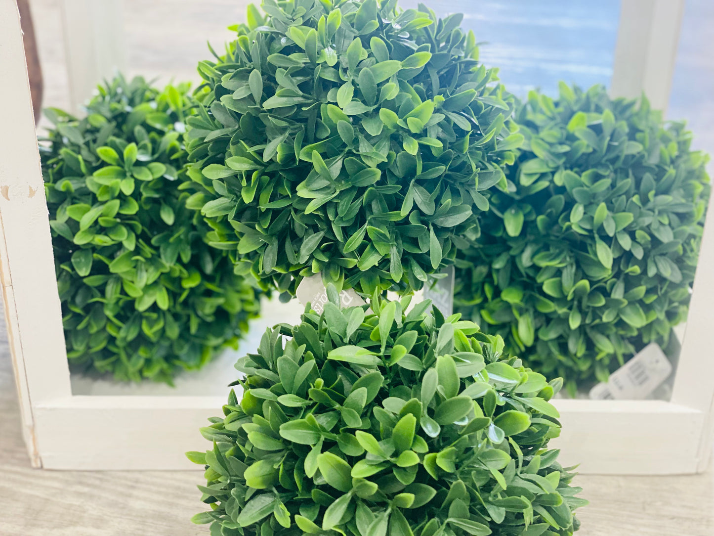 boxwood ball