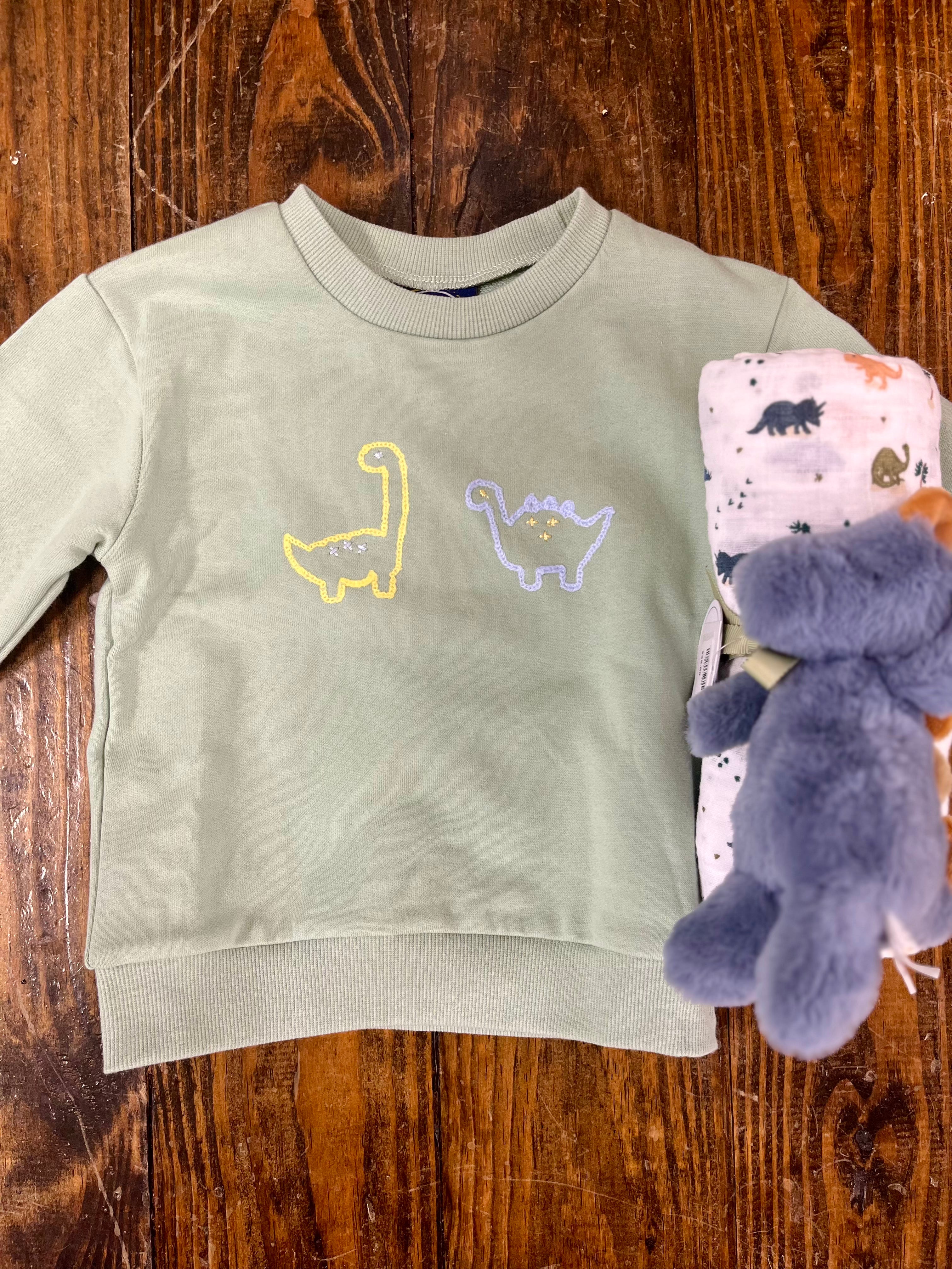 Boy's Dinosaur Sweatshirt