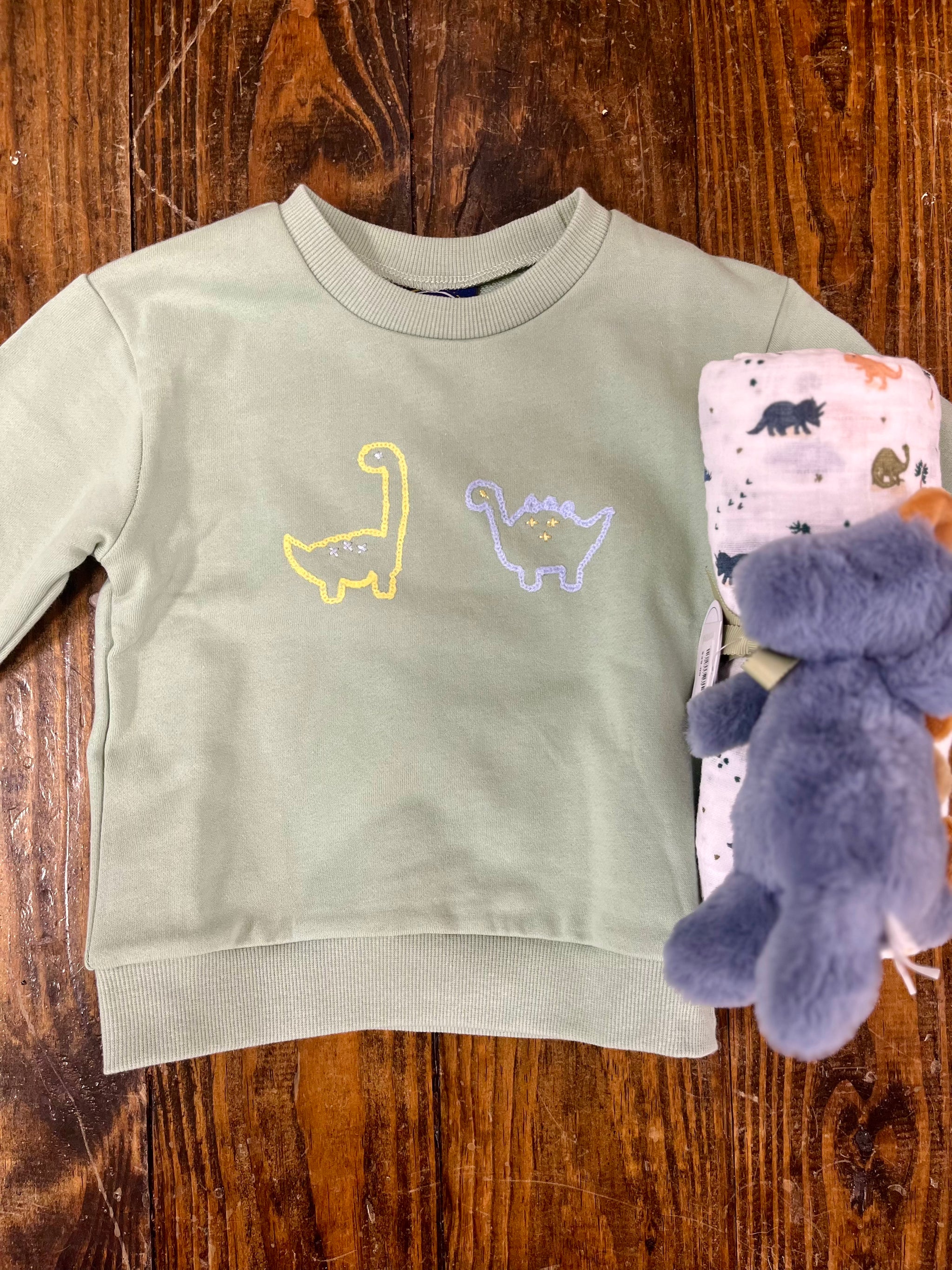 Boy's Dinosaur Sweatshirt