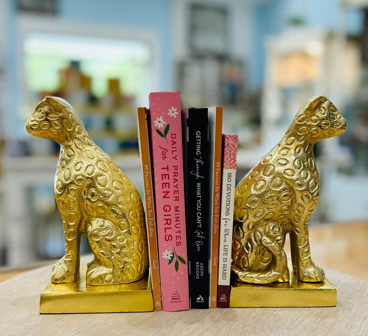 Book End Set