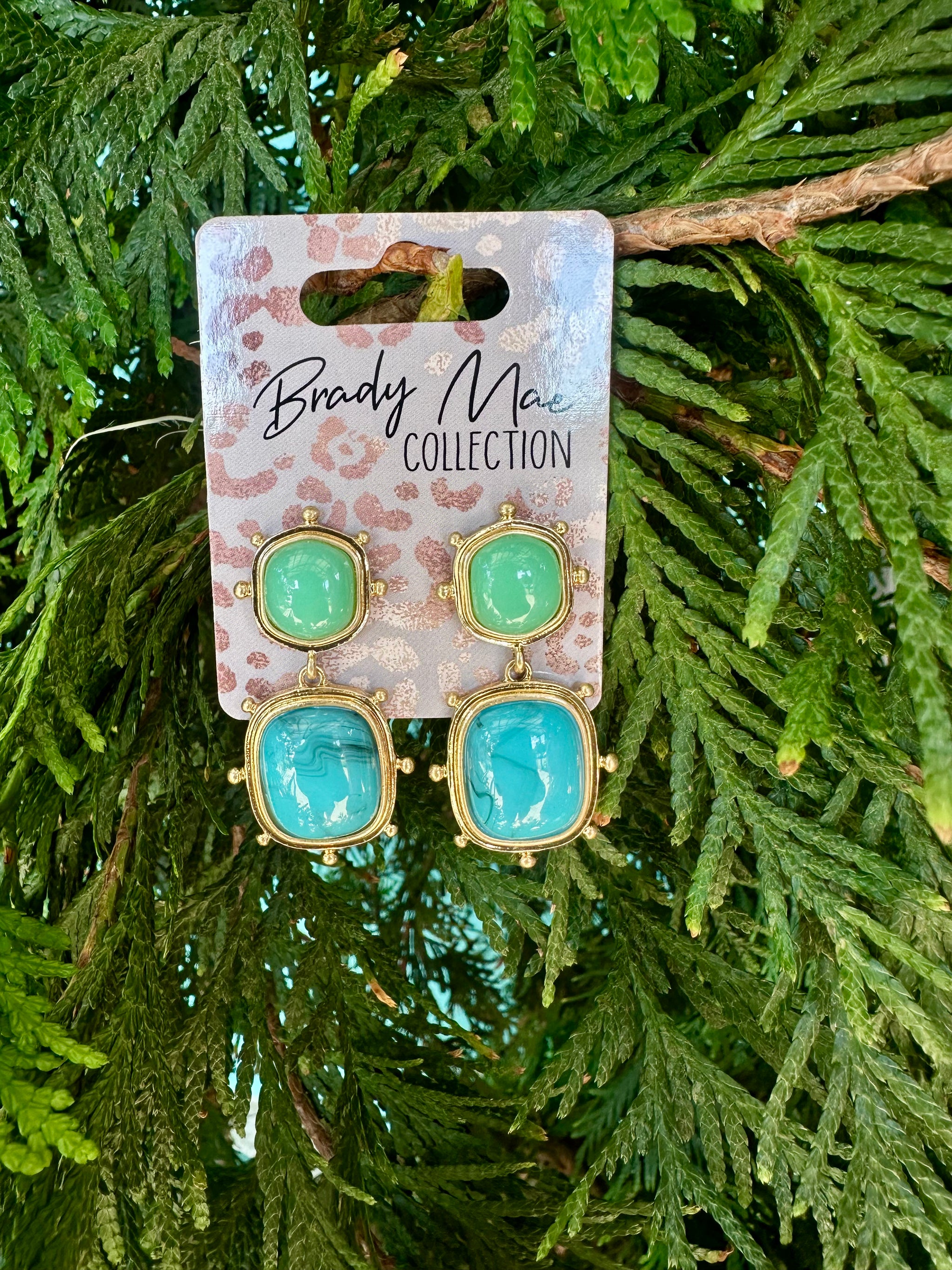 Class Act Earrings
