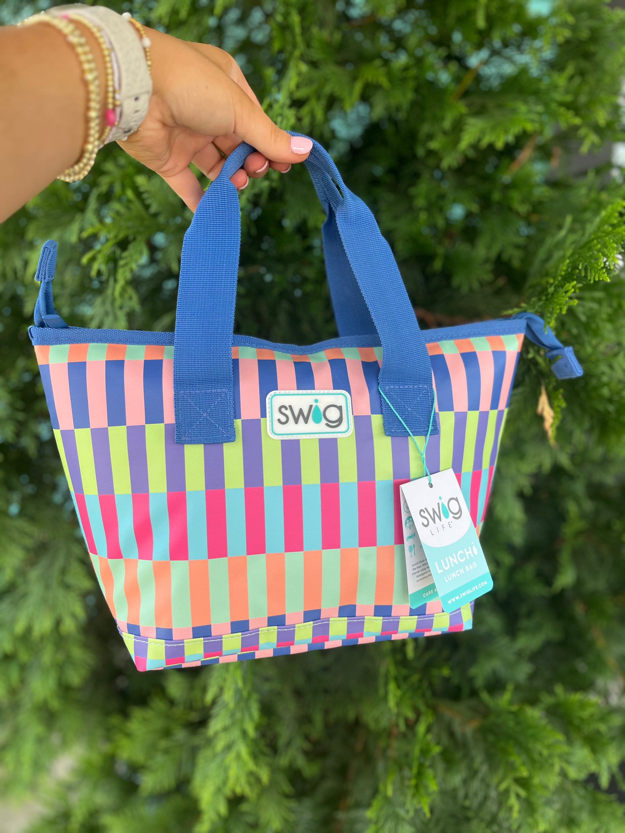 Brite Stripe Lunchi Bag
