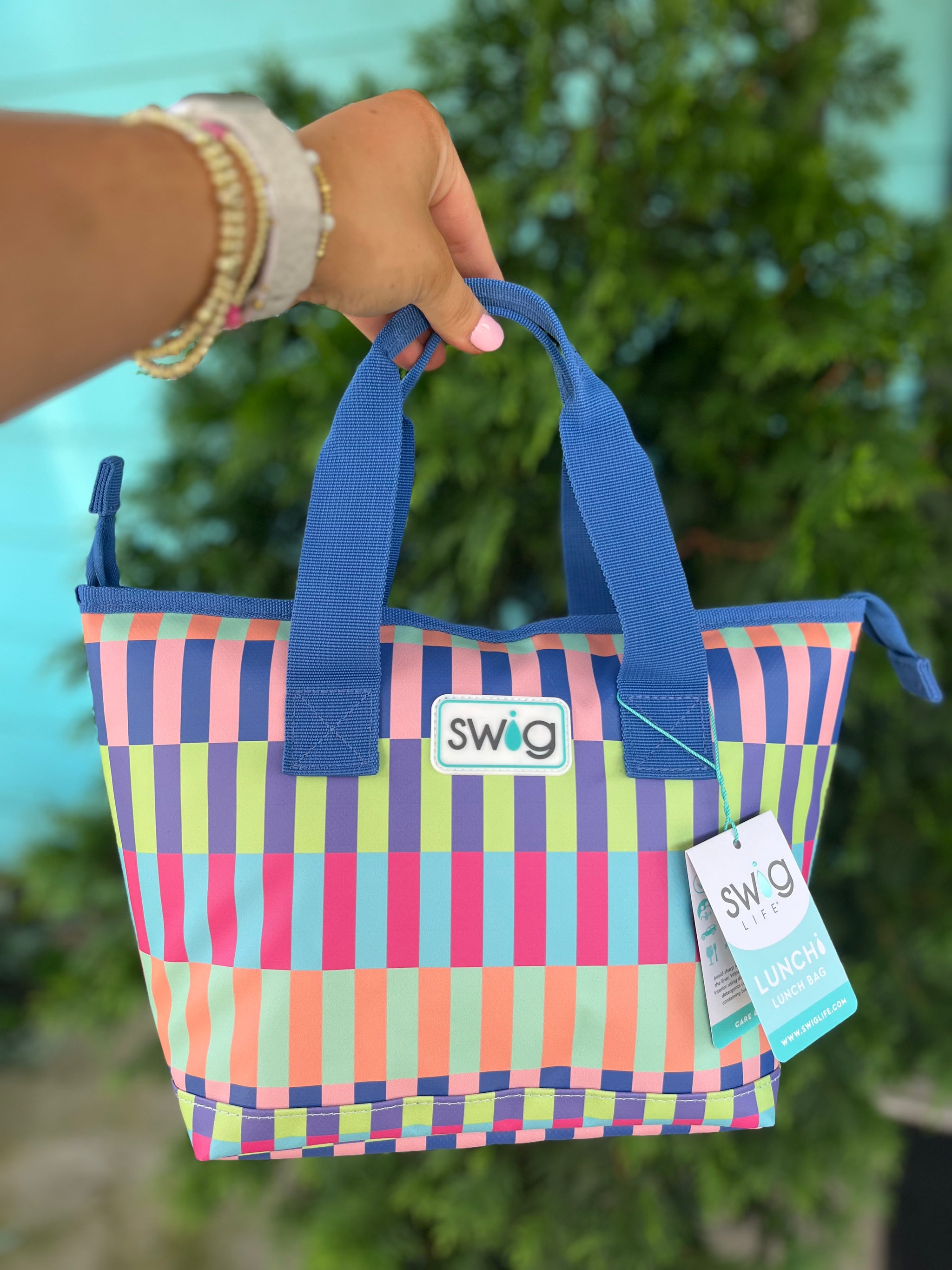Brite Stripe Lunchi Bag