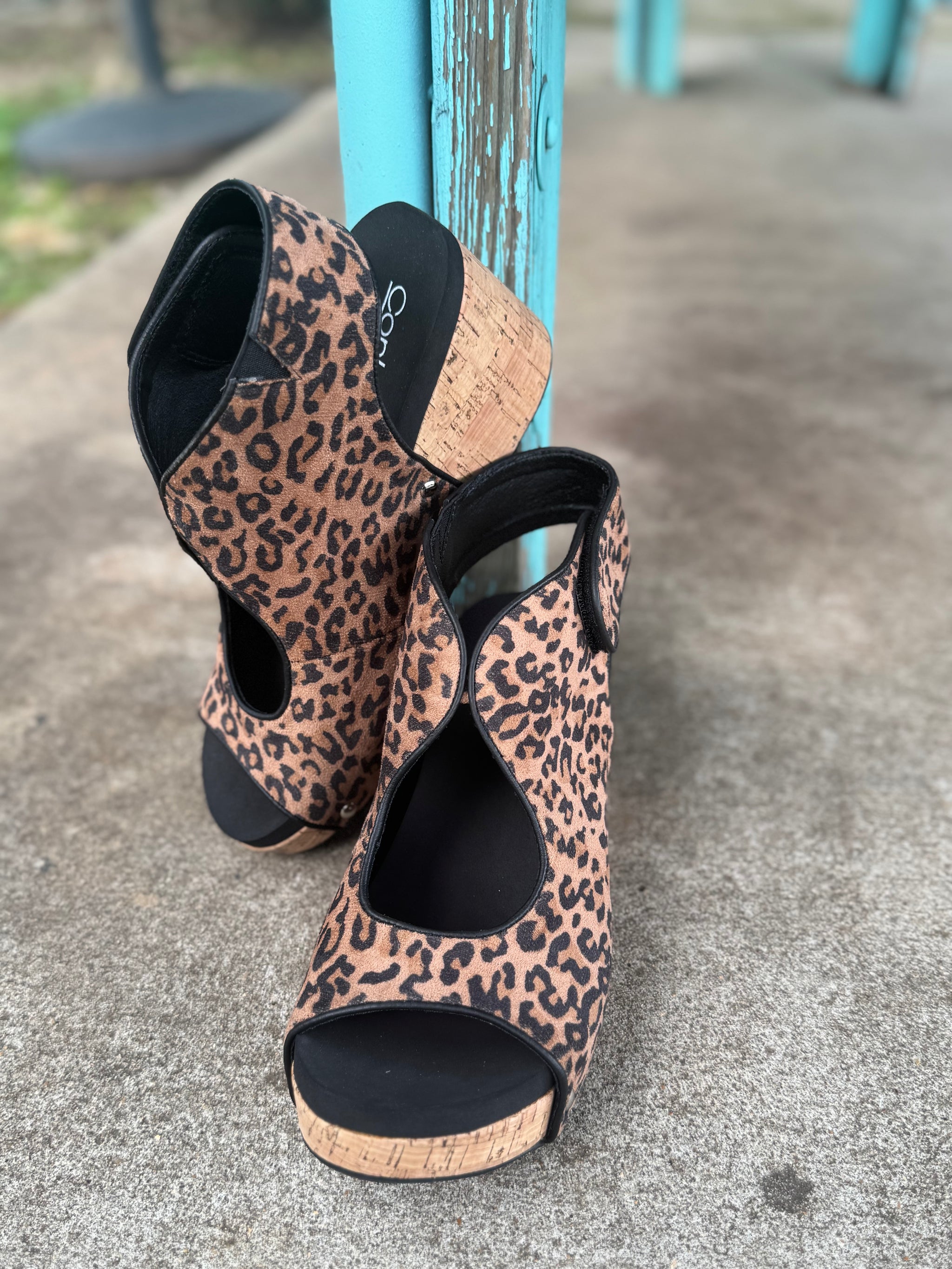 Frisky Leopard Shoe