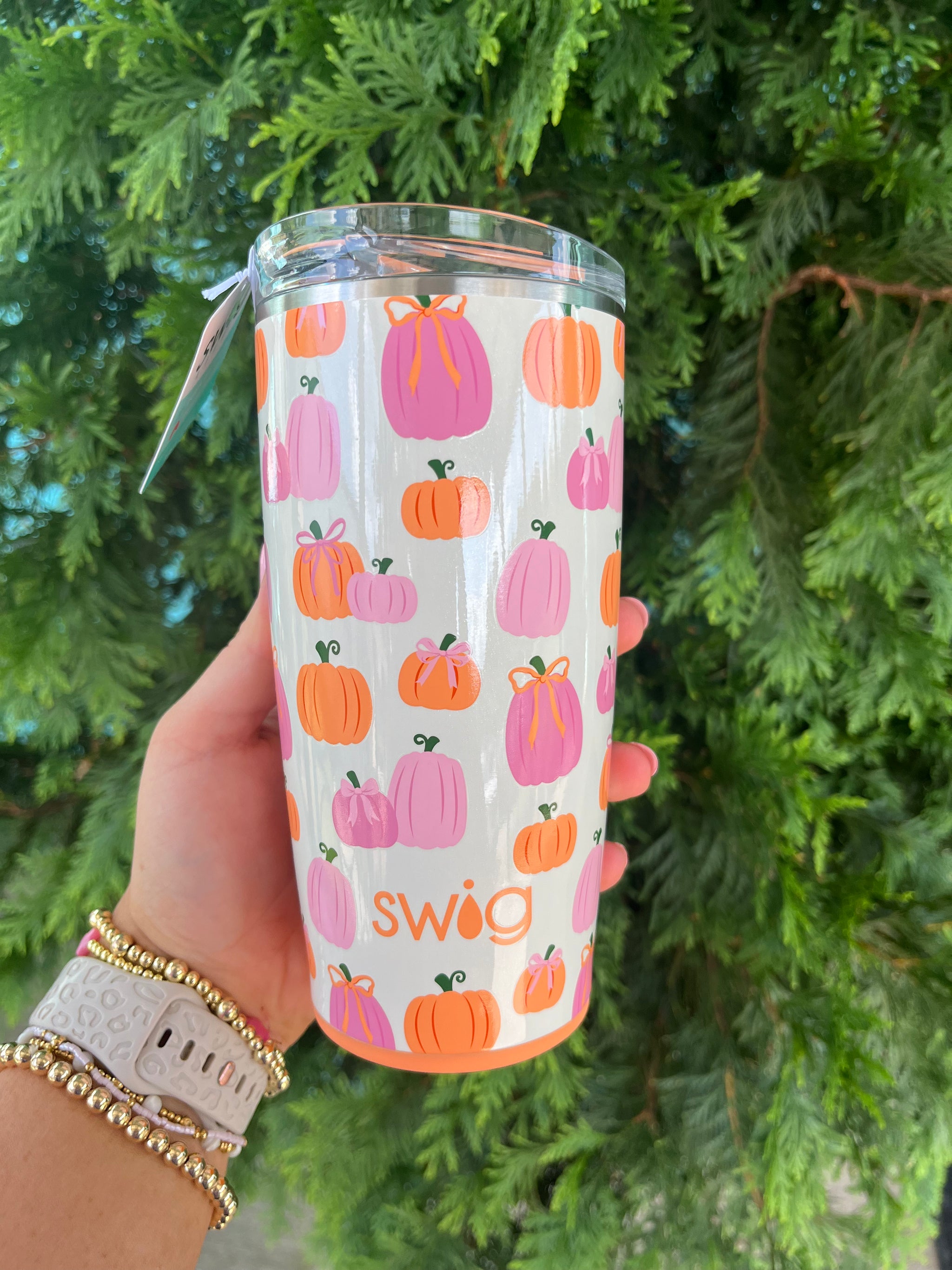 Pumpkins & Bows Tumbler 22oz