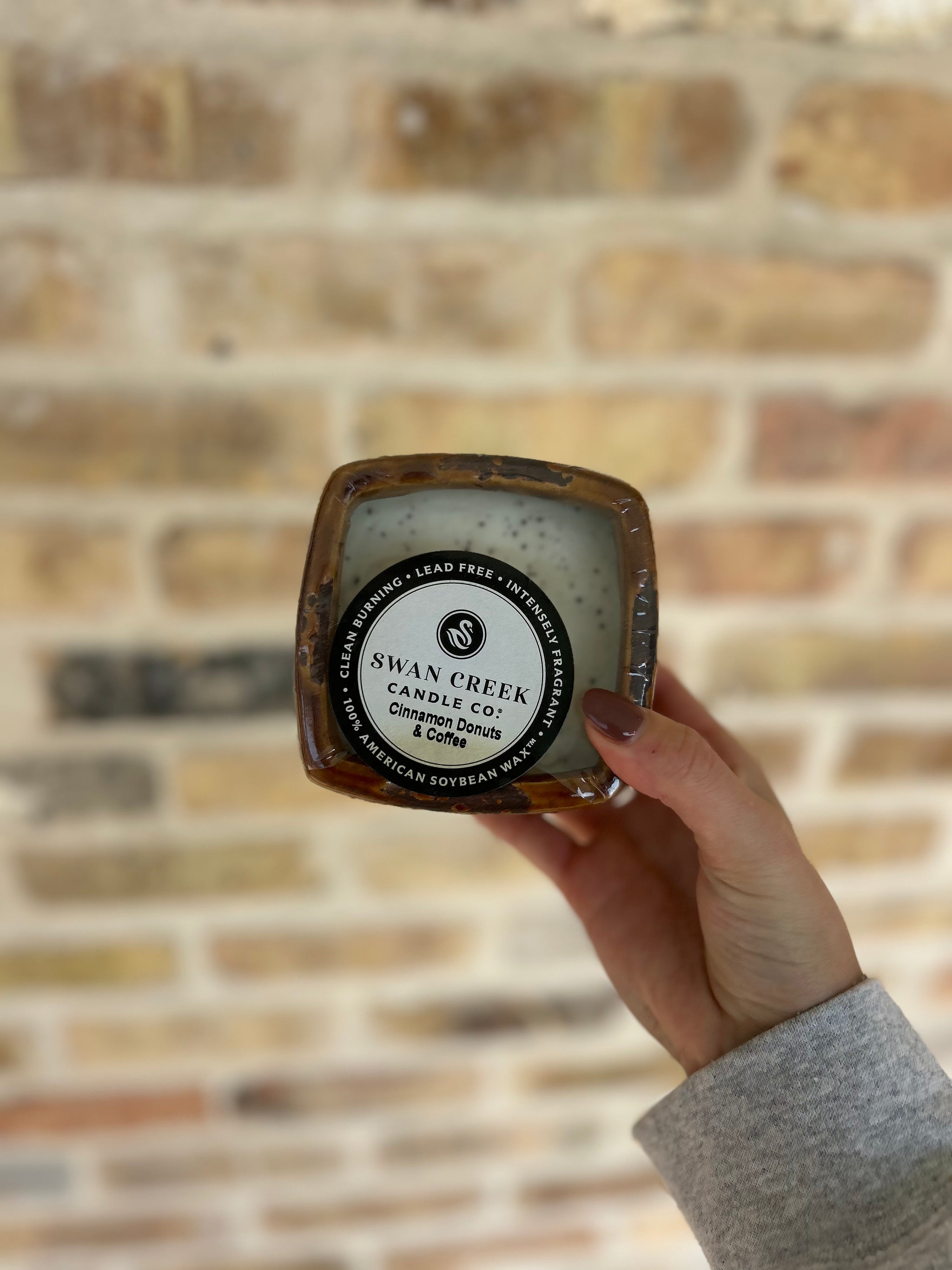 Vintage Sq Cinnamon Donuts