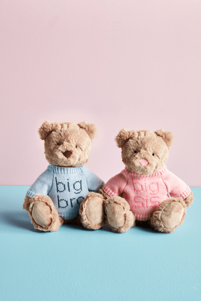 Big Sibling Plush Bear - Ballyhoo Boutique and Gift