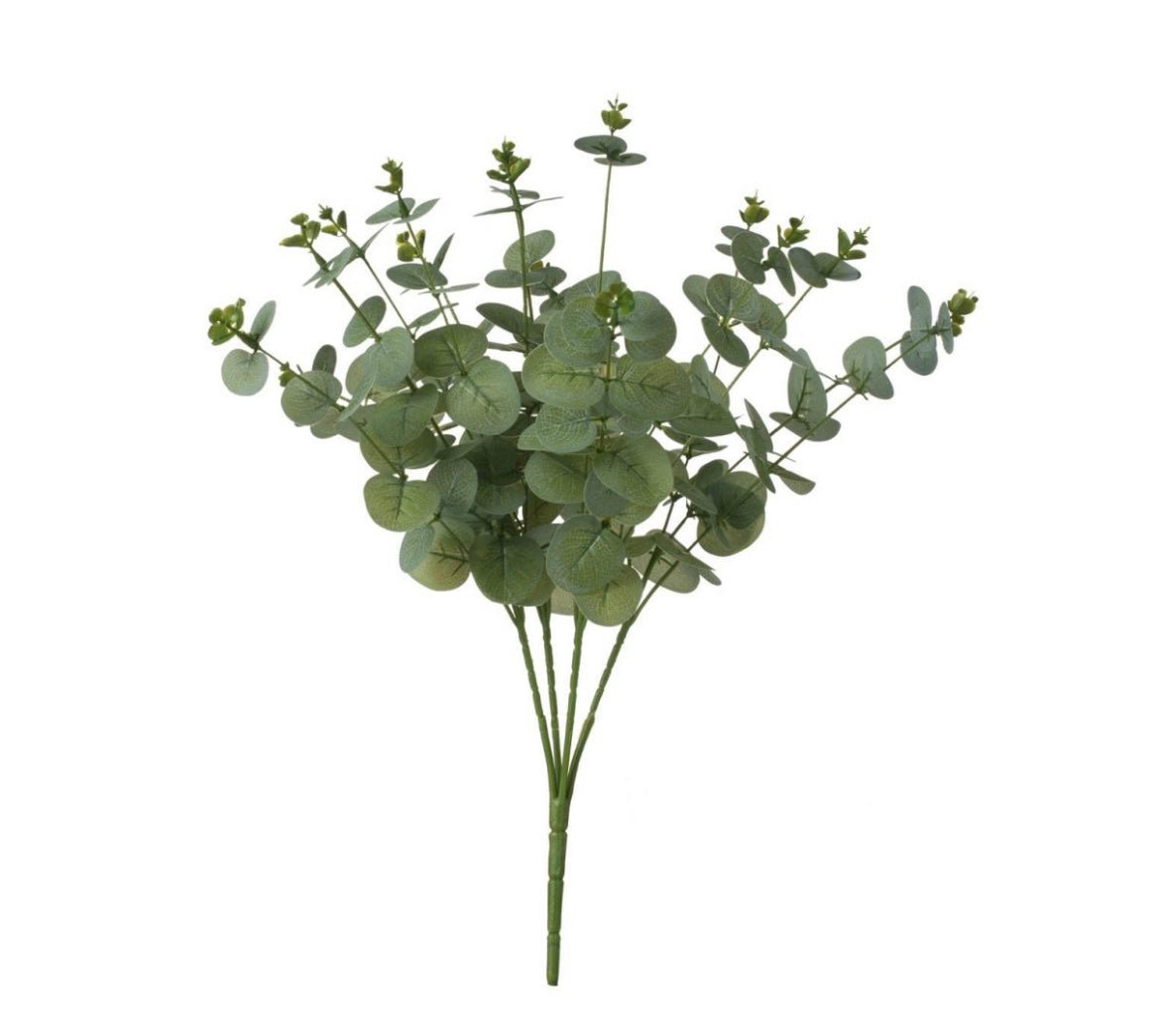 Eucalyptus - Ballyhoo Boutique and Gift