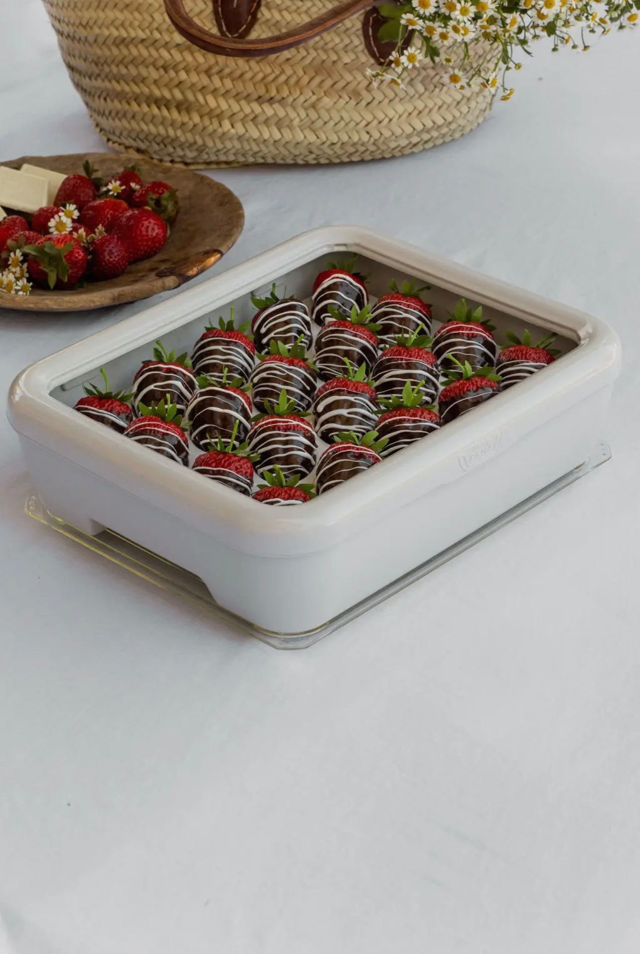 Fancy Panz Deviled Egg Tray - Ballyhoo Boutique and Gift