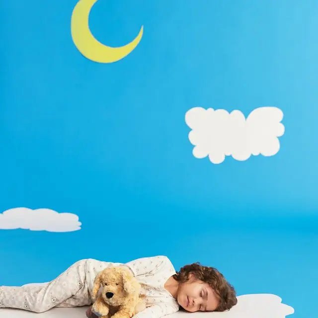 Golden Dog Warmies - Ballyhoo Boutique and Gift