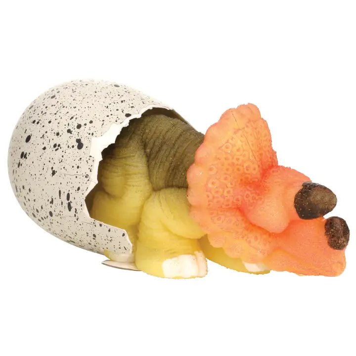 Grow Dino Egg - Ballyhoo Boutique and Gift