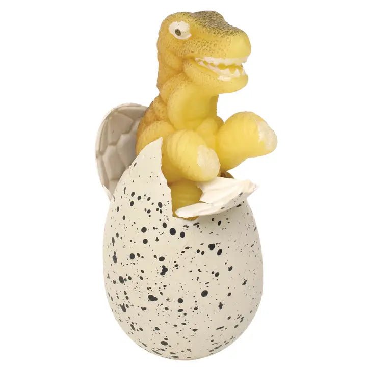 Grow Dino Egg - Ballyhoo Boutique and Gift