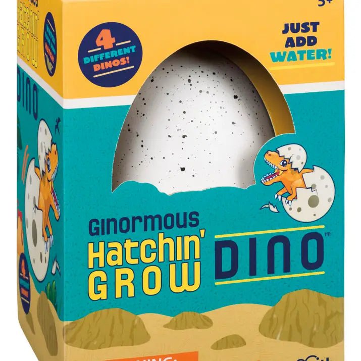 Grow Dino Egg - Ballyhoo Boutique and Gift