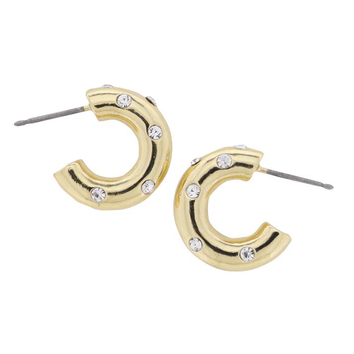 Huggie Earring w/Crystals - Ballyhoo Boutique and Gift