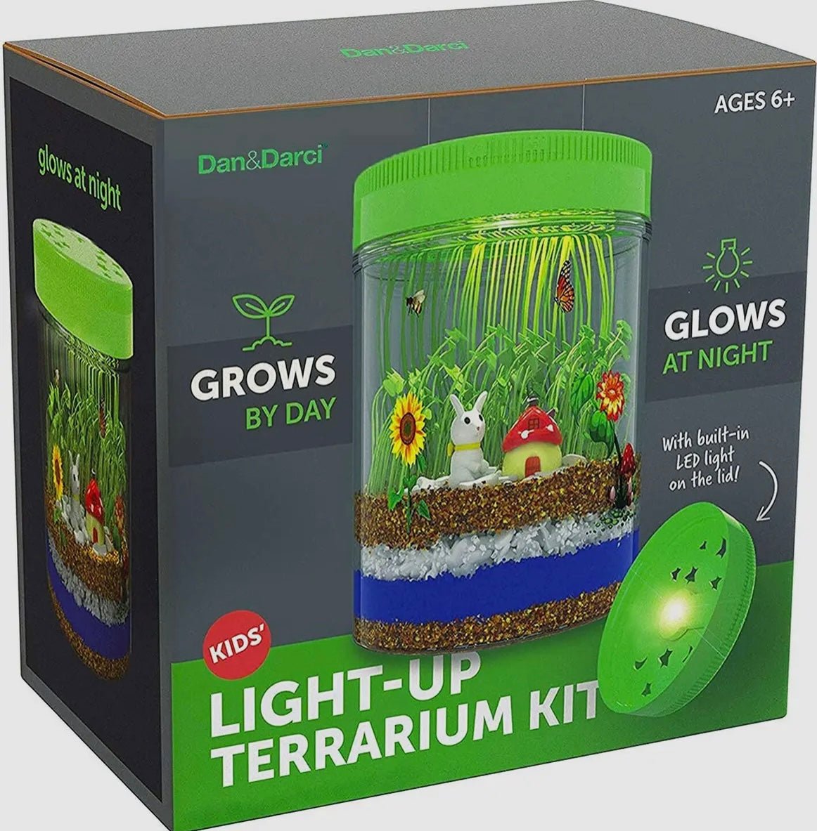 Light Up Terrarium Kit - Ballyhoo Boutique and Gift
