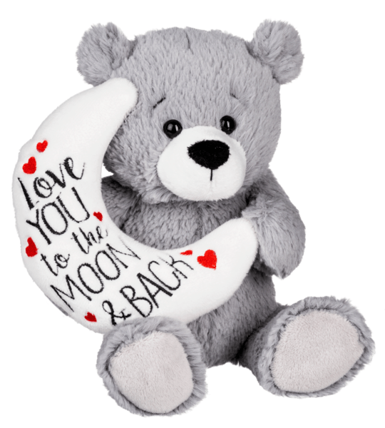 Moon and Back Bear - Ballyhoo Boutique and Gift