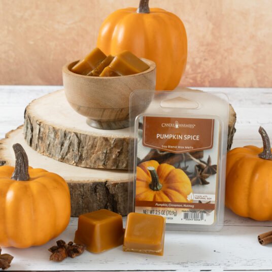 Pumpkin Spice Wax Melts - Ballyhoo Boutique and Gift