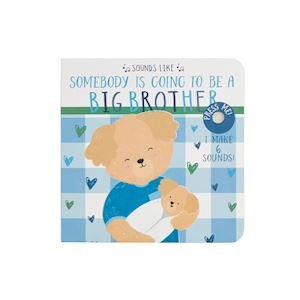Sounds Like Big Bro/Big Sis Books - Ballyhoo Boutique and Gift