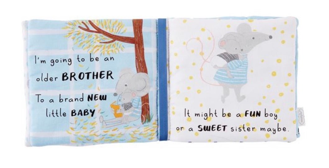 I'm A Big Brother Book and Pin - Ballyhoo Boutique and Gift