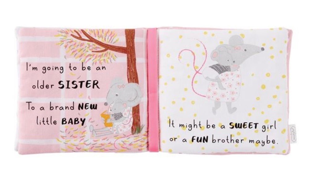 I'm a Big Sister Book and Pin - Ballyhoo Boutique and Gift