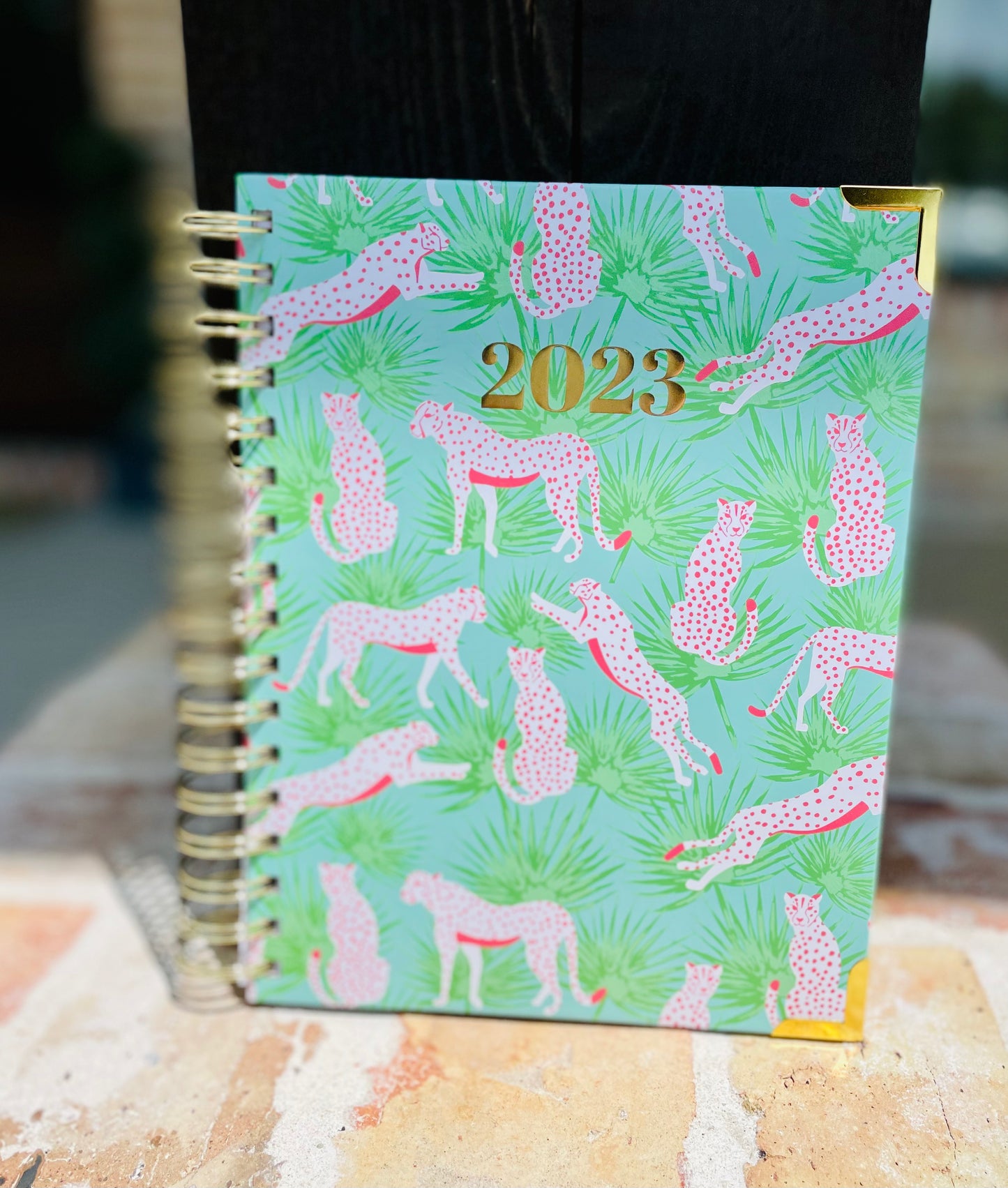 Mary square agenda 2023
