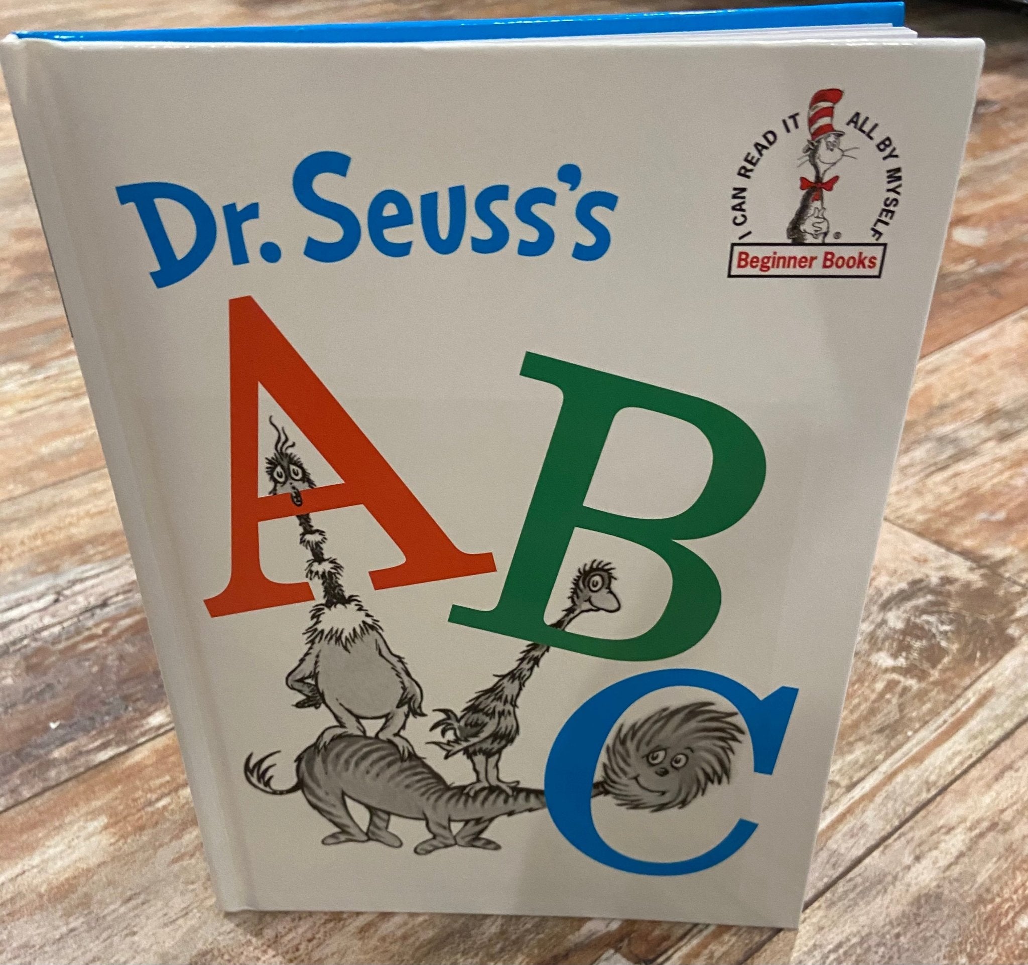 Large Dr. Seuss Book - Ballyhoo Boutique and Gift