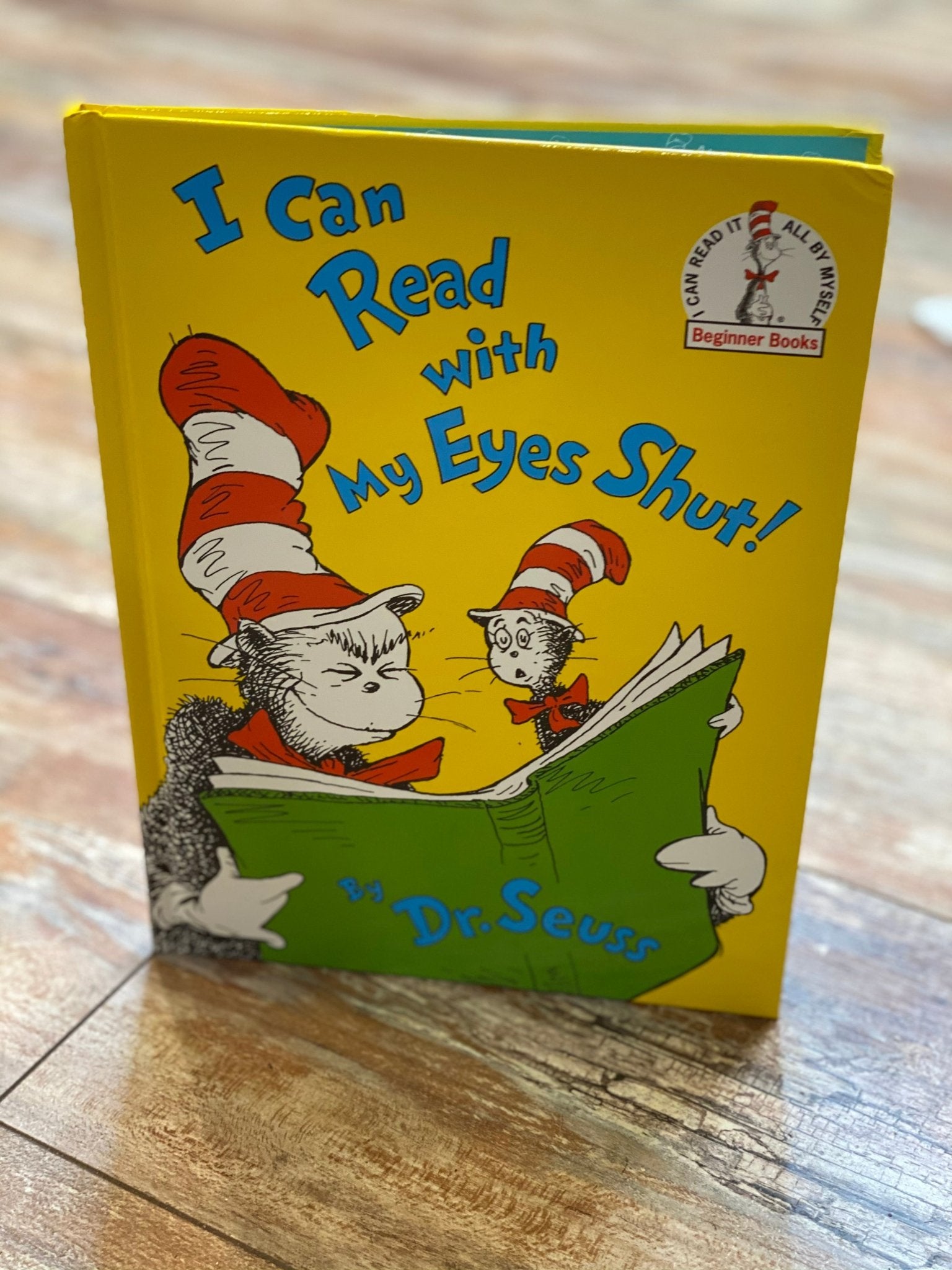 Large Dr. Seuss Book - Ballyhoo Boutique and Gift