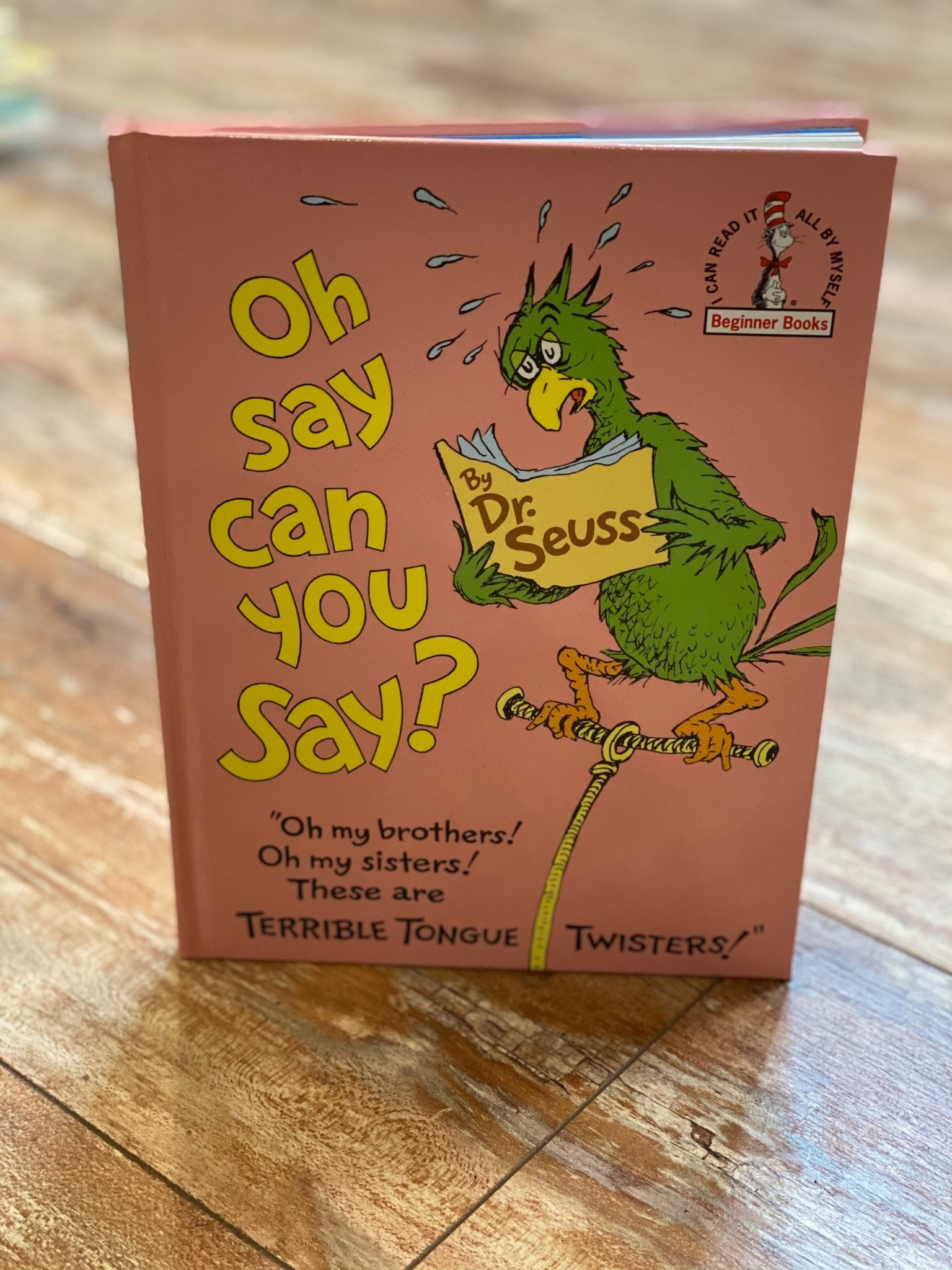 Large Dr. Seuss Book - Ballyhoo Boutique and Gift