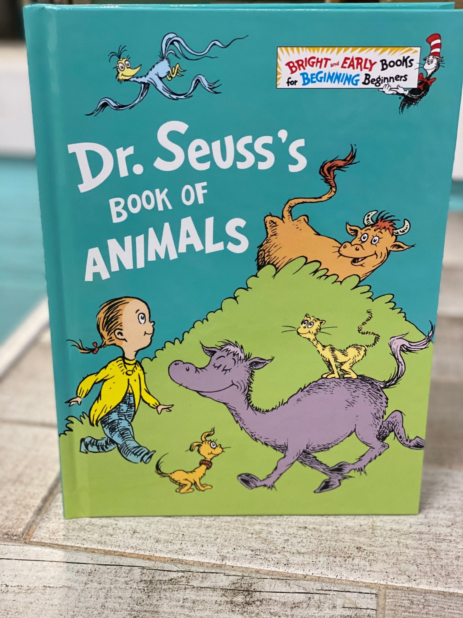 Large Dr. Seuss Book - Ballyhoo Boutique and Gift