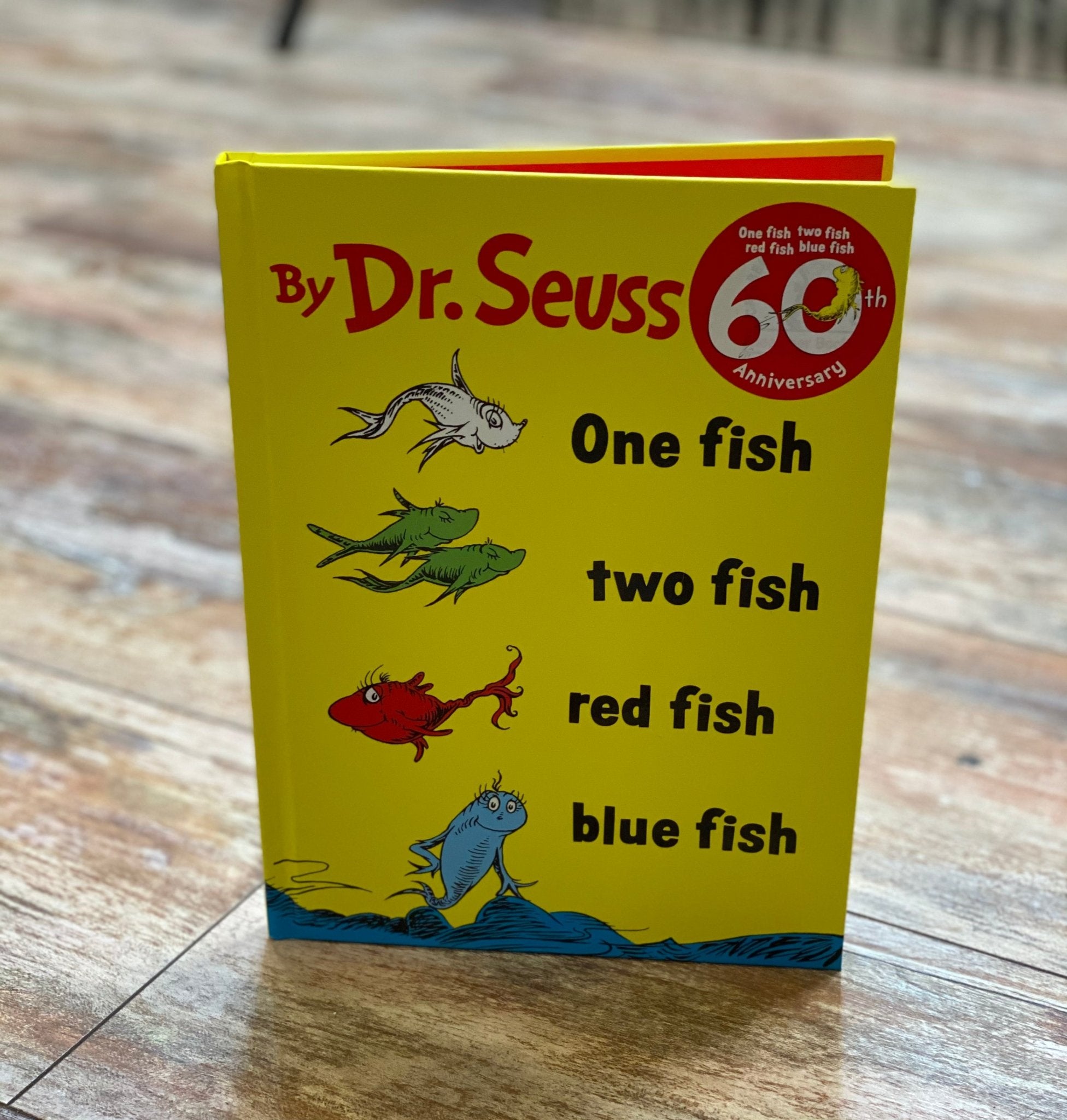 Large Dr. Seuss Book - Ballyhoo Boutique and Gift