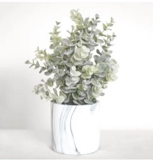 potted eucalyptus - Ballyhoo Boutique and Gift