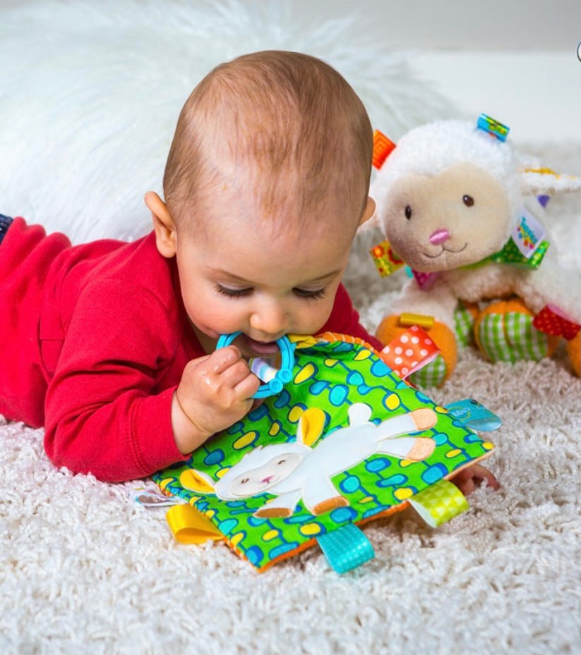 Taggies Crinkle Me - Ballyhoo Boutique and Gift