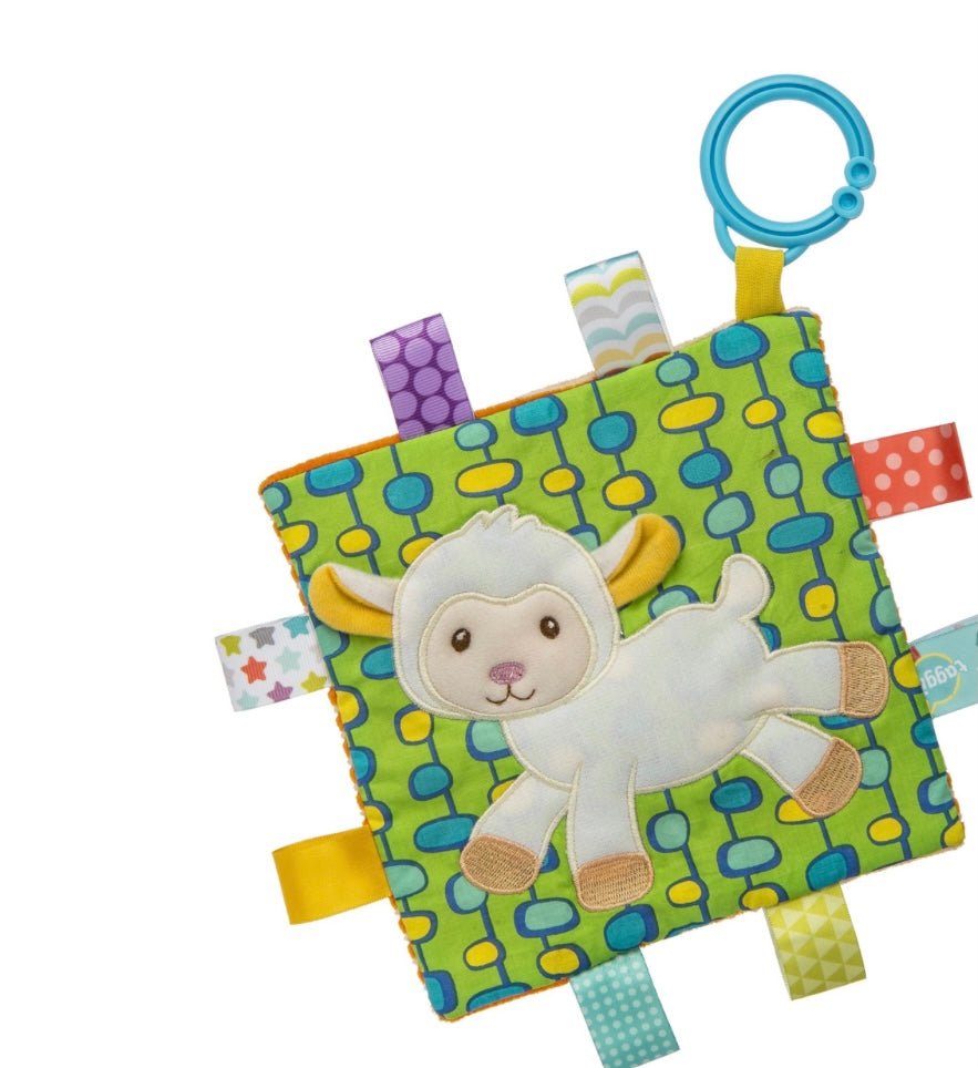 Taggies Crinkle Me - Ballyhoo Boutique and Gift