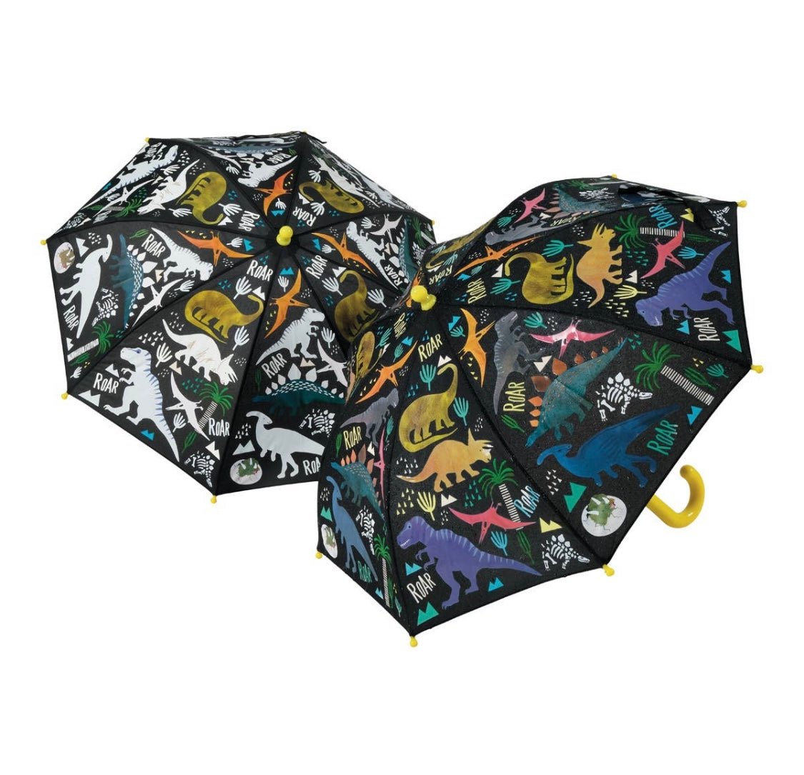 Water Color Changing Umbrella - Ballyhoo Boutique and Gift